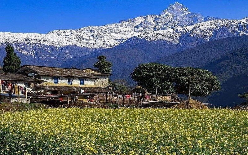 Uttarakhand Tour Packages From Gandhinagar